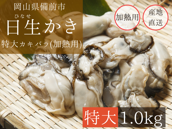 特大カキバラ(加熱用 1kg) | ひなせお取り寄せ市場